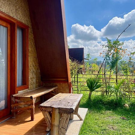 Muni'S Terrace Bungalow Kotaraja Kültér fotó
